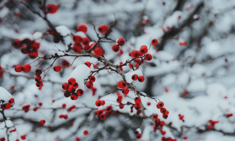 В Омске похолодает до -26 градусов 