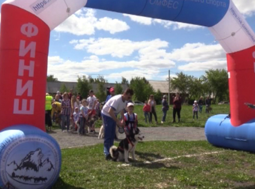 Хвостатые терапевты пробежали с омской детворой стометровку