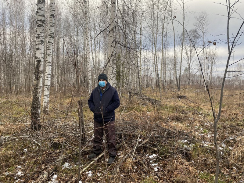 Суд поставил точку в деле о незаконной рубке леса в Седельниковском районе 