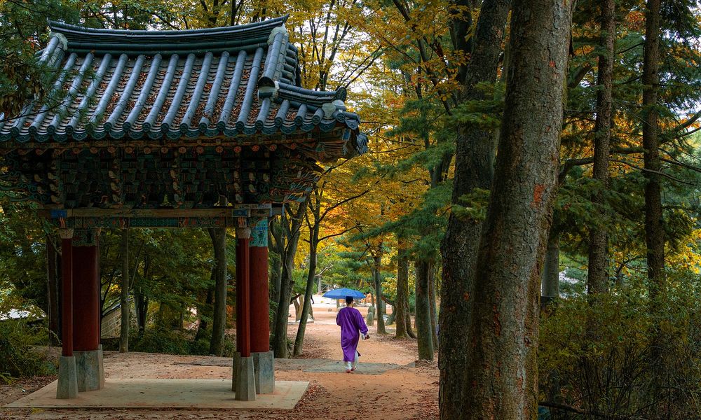 В Омске прошёл фестиваль корейской культуры