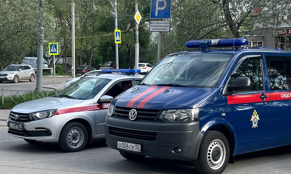 Следственный комитет начал проверку по факту нападения на мать с ребёнком в Омске