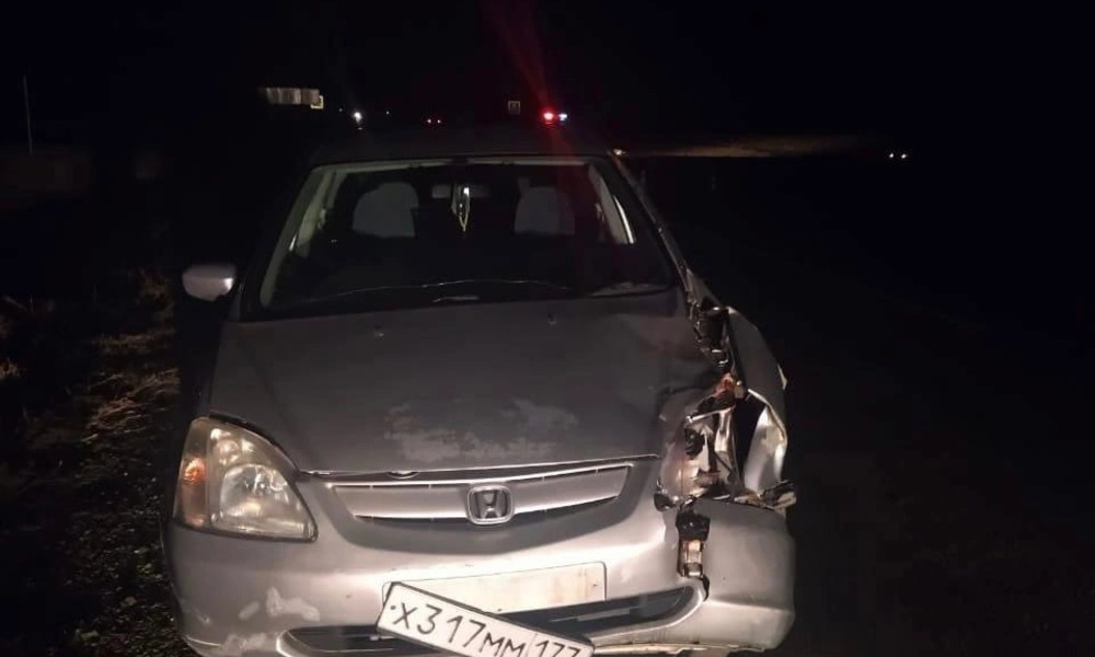 В Омской области водитель насмерть сбил пешехода 