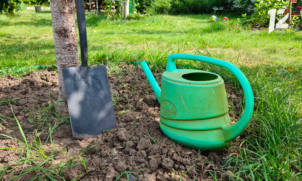 Омские садовые маршруты переходят на осеннее расписание