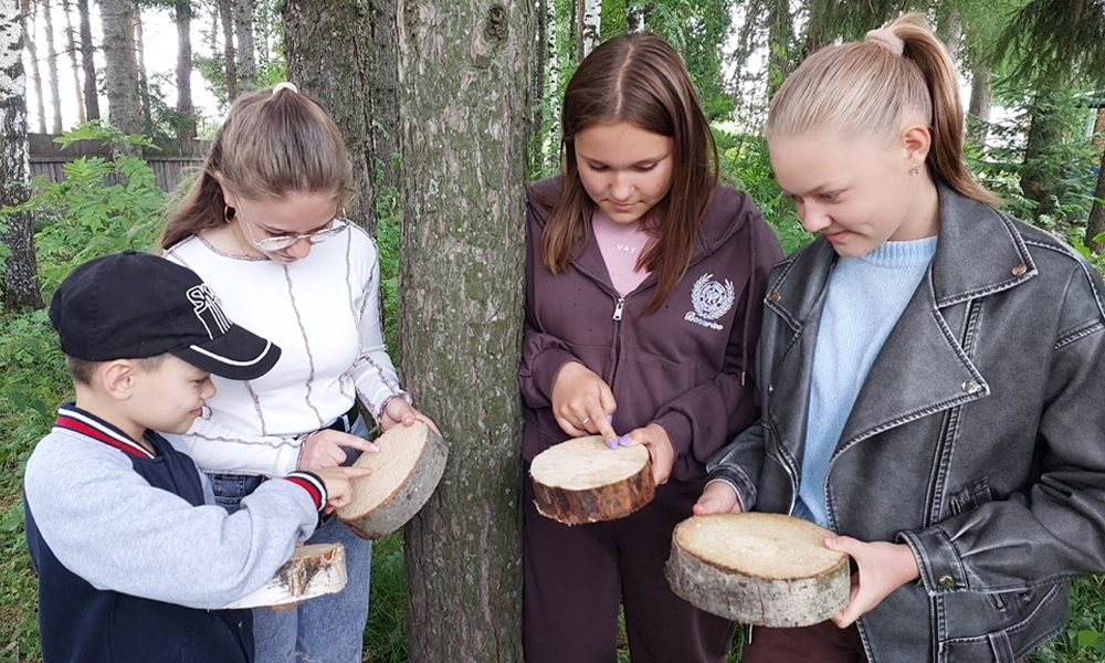 Омские школьные лесничества проведут слёт в Таврическом районе