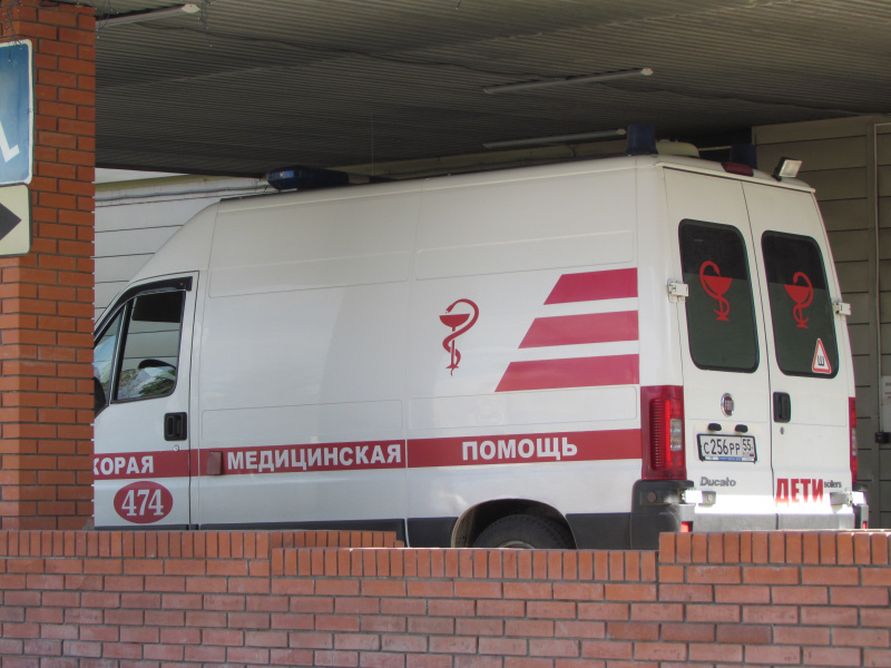 Депутат Омского горсовета попал в реанимацию после падения с дерева 