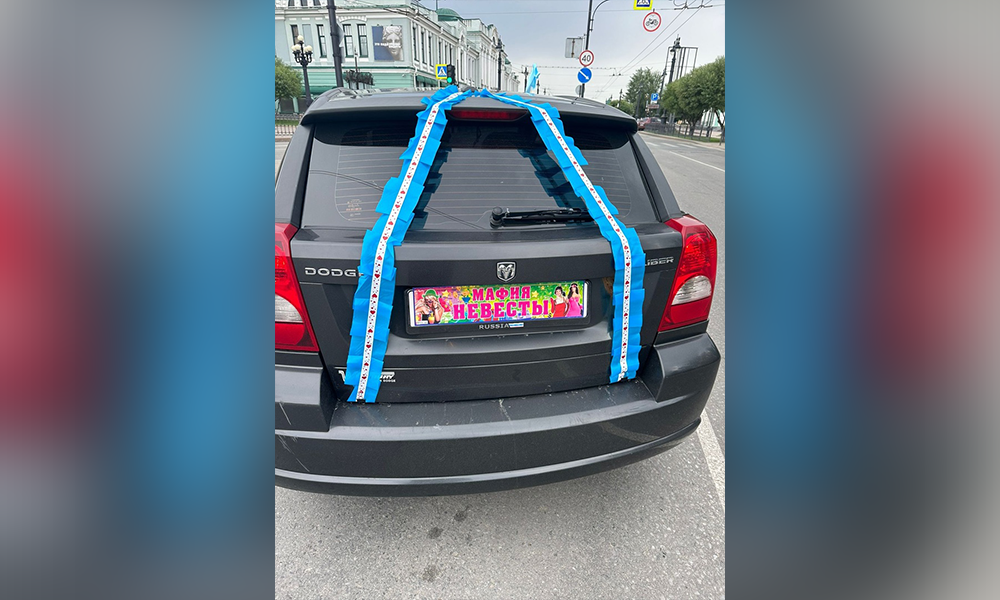 Омского водителя могут лишить прав за наклейку «Мафия невесты» на автомобильном номере