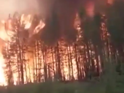 Пожары, из-за которых Омск затягивало смогом, активно тушат