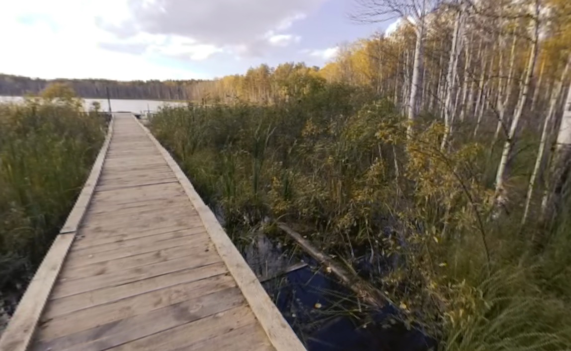 По экологическим тропам Омской области можно совершить видеопрогулки