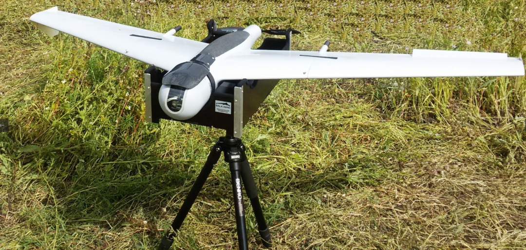 Браконьеров и чёрных лесорубов в Омской области теперь высматривает новый беспилотник