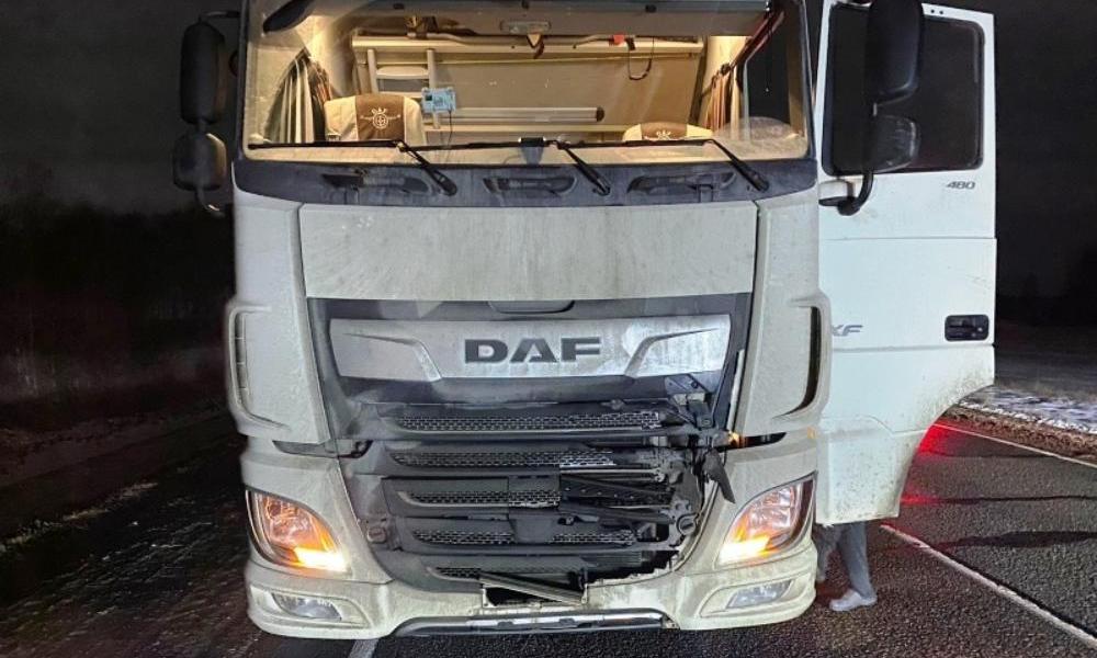 В Омской области водитель большегруза насмерть сбил пешехода