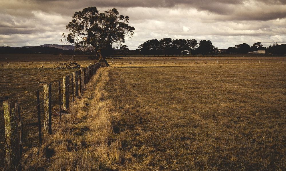 Рабочий из Омской области подозревается в убийстве коллеги