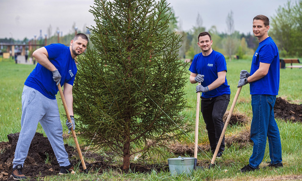 Зелёный символ 80-летия Победы: Сотрудники «Газпромнефть — СМ» высадили сибирские ели в омской «Птичьей гавани»
