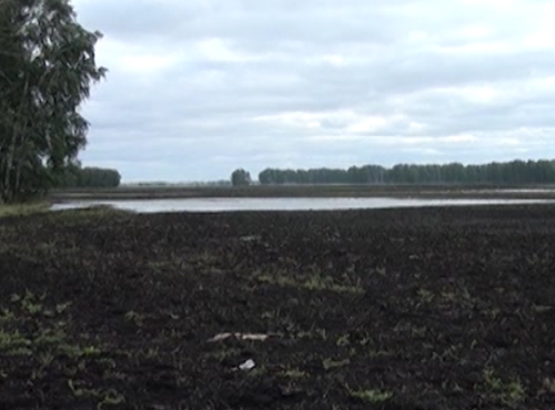 На залитых из-за дождей полях сделают водоотведение