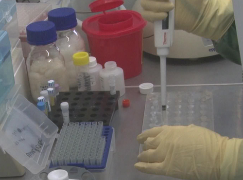 Коронавирус может дойти до России в феврале