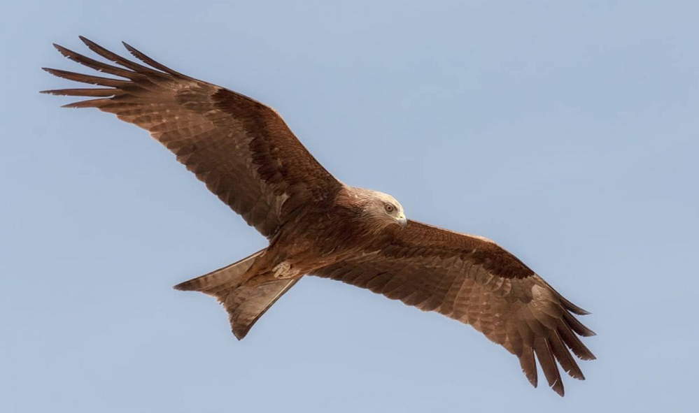 Виталий Хоценко сообщил, что омские экопроекты вошли в финал конкурса Президентского фонда природы