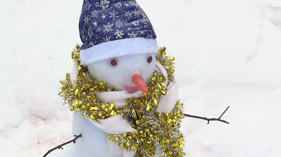 В Омске стартовал парад снеговиков 