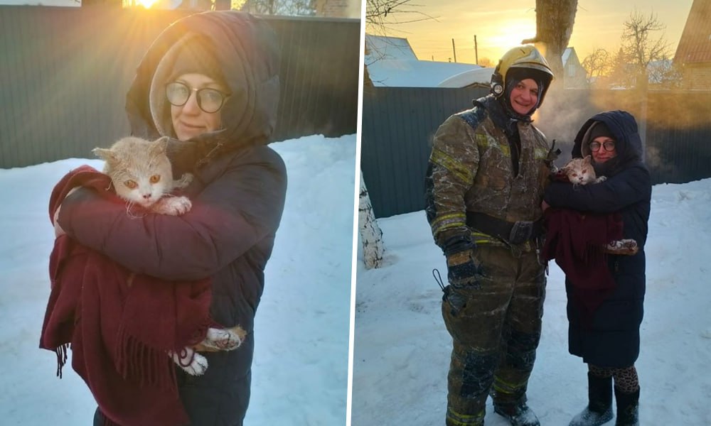 Омские сотрудники МЧС спасли кота из горящего дома