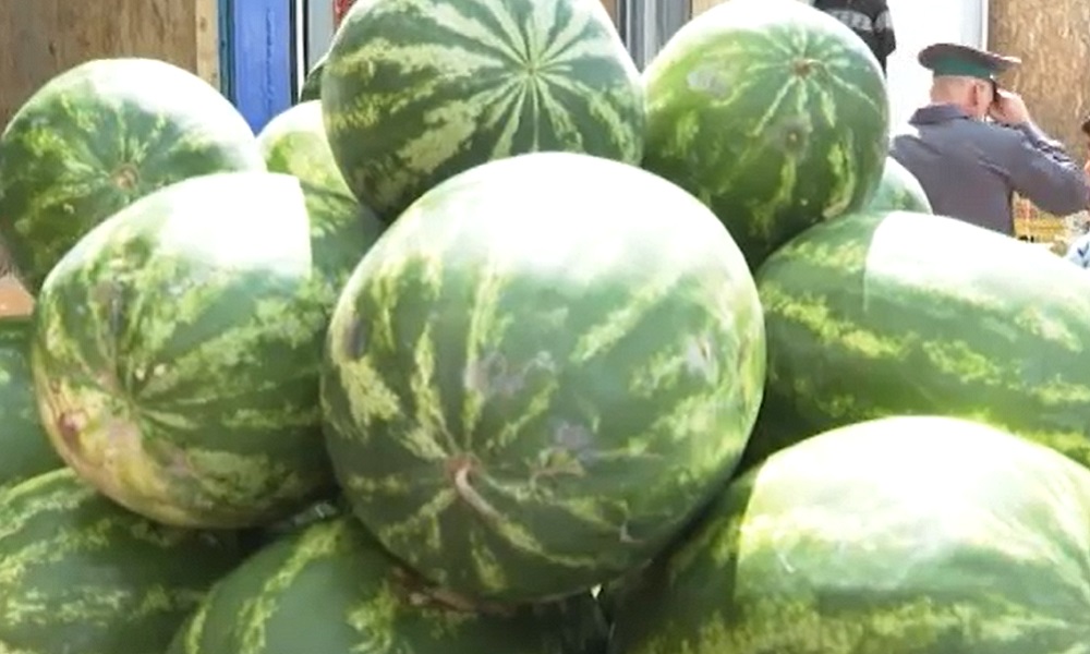 Омичам рассказали, как выбрать арбузы и дыни