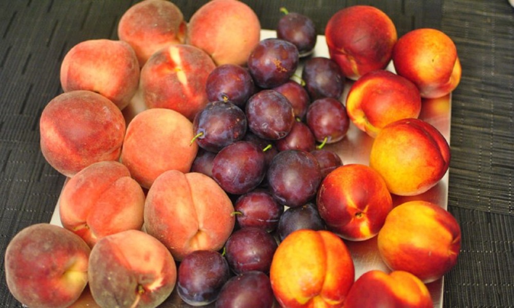 В Омск доставили заражённые вредителями фрукты