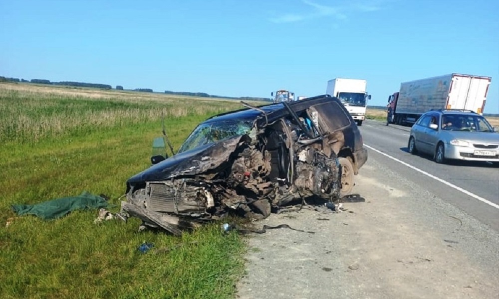 В Омской области в результате ДТП с грузовиком скончался 72-летний мужчина
