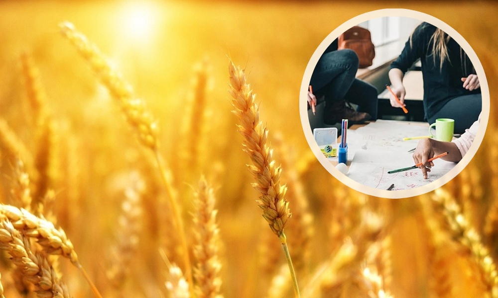 Студентов омских колледжей примут на работу в агропромышленный комплекс региона