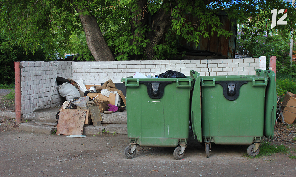 К 2026 году в Саргатском районе решится проблема с нехваткой контейнерных площадок для сбора отходов