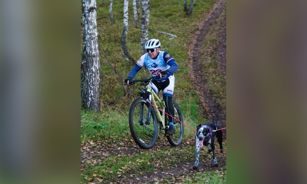 Омичи завоевали 2 медали чемпионата СФО по ездовому спорту 