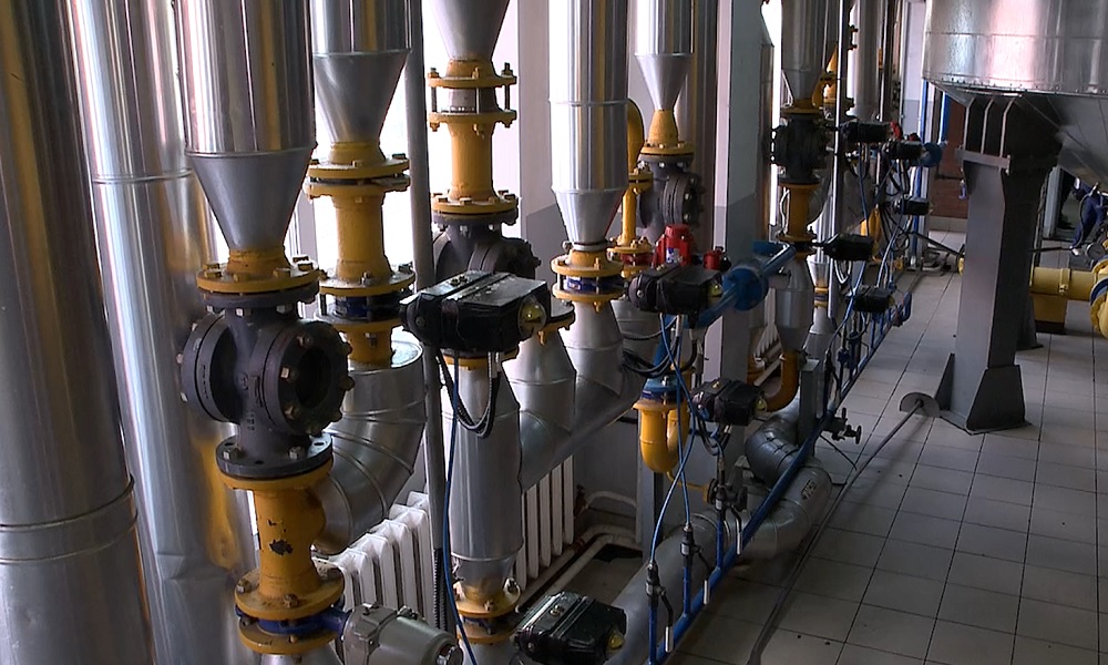 В Омске может появиться новое предприятие по переработке кедрового ореха, масличных и зерновых культур