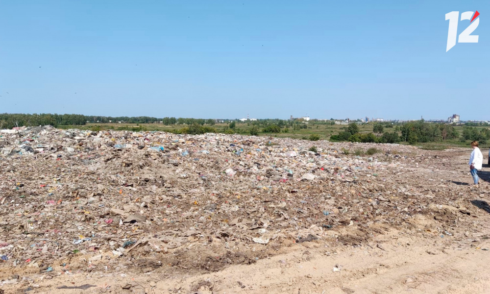 Мэр Омска Сергей Шелест намерен ужесточить наказание за незаконный выброс мусора 