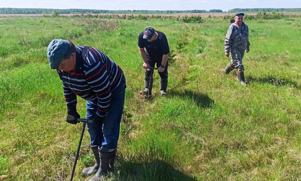 Акция «Сад памяти» продолжается в районах Омской области
