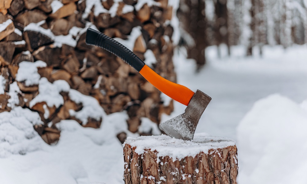 За 2022 год омские лесоводы выявили 256 случаев незаконной вырубки 