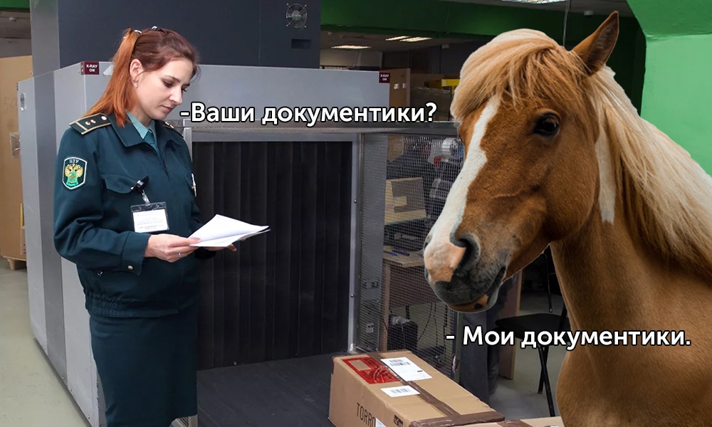 Из Омской области в Казахстан не выпустили почти 150 лошадей без документов 