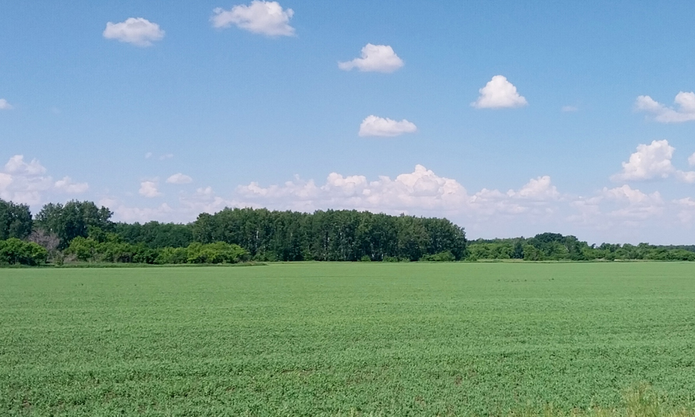 В Омской области создана комиссия по управлению государственными сельхозугодьями