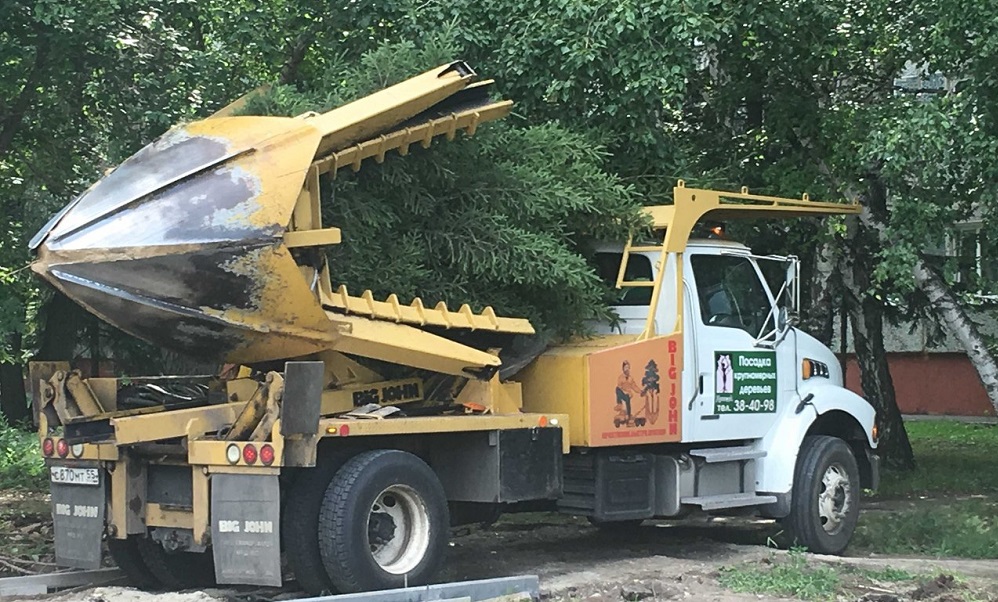 На Городской поляне Омска высадили 7-метровую ель 