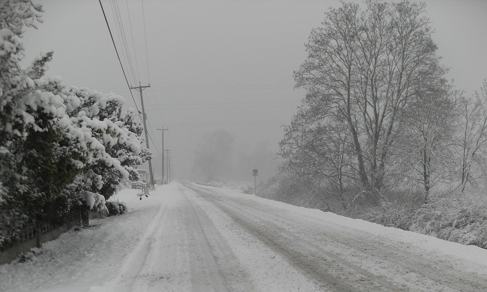 Из-за сильной метели перекрыли трассу из Казахстана в Омскую область