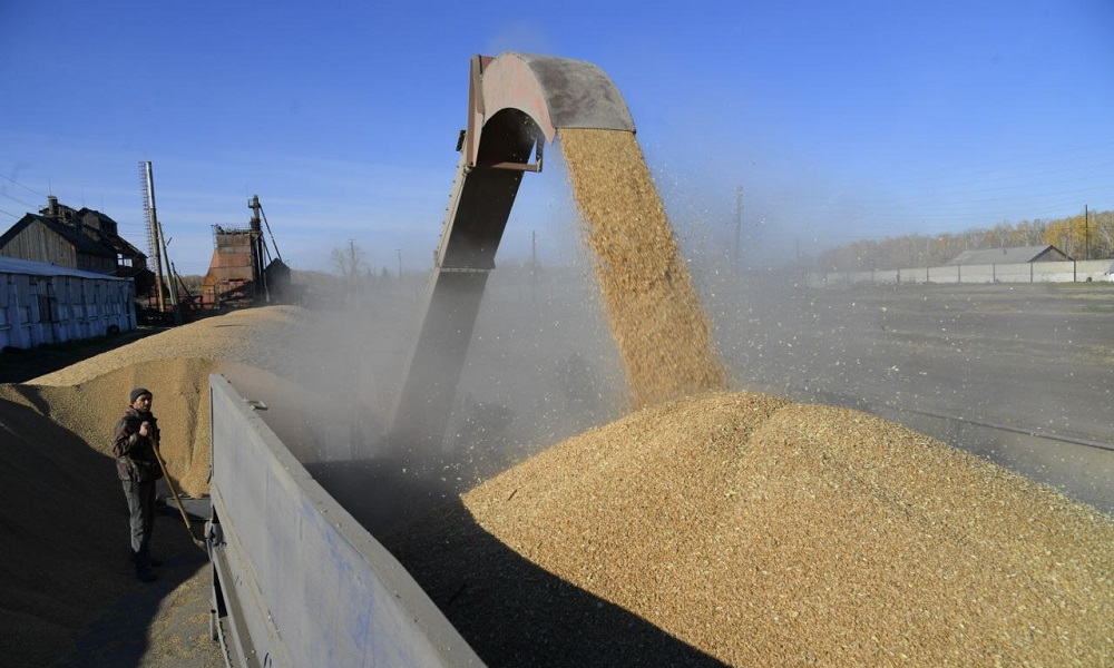 Губернатор Александр Бурков проинспектировал ход реконструкции подъездной дороги к хозяйству «Колос»