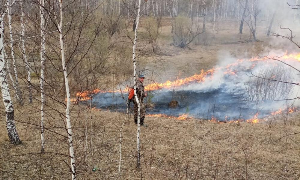 В Омской области закрыт пожароопасный сезон 