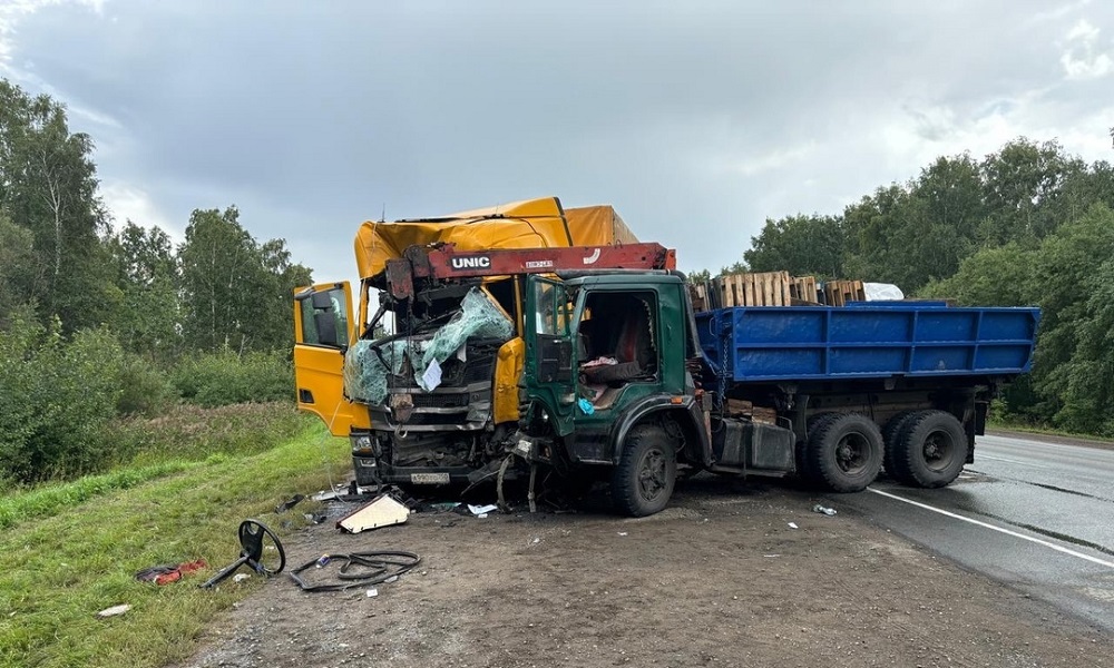 Грузовики столкнулись на трассе под Омском 