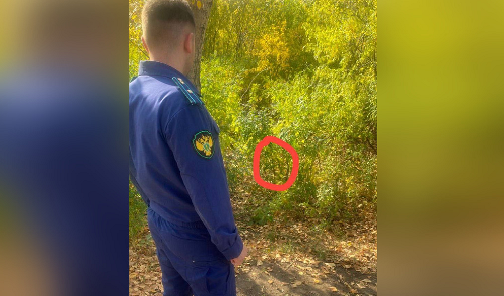 «Лежал на земле без одежды»: в Омской области сельчанка случайно нашла на улице новорождённого ребёнка