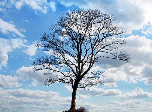 В Омском регионе побит температурный рекорд за март