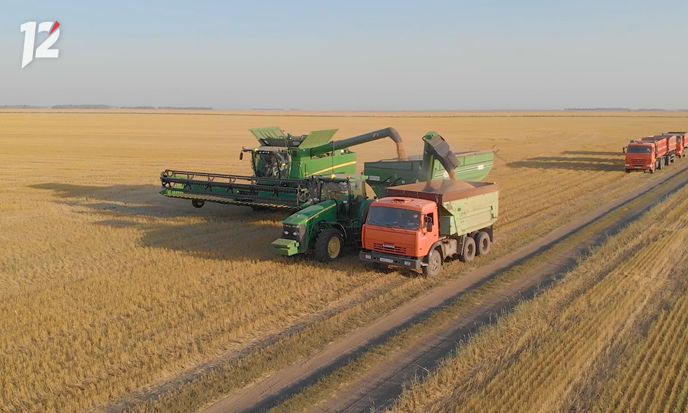 Омские аграрии получили награды в свой профессиональный праздник