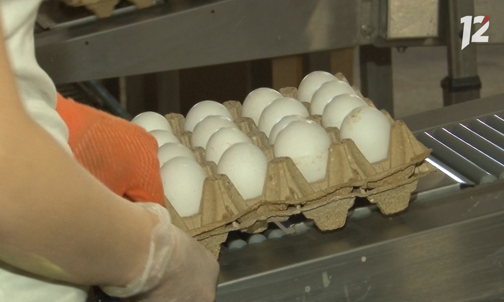 Куриные яйца стали дешевле, а сардельки дороже: в Омской области изменились цены на продукты 