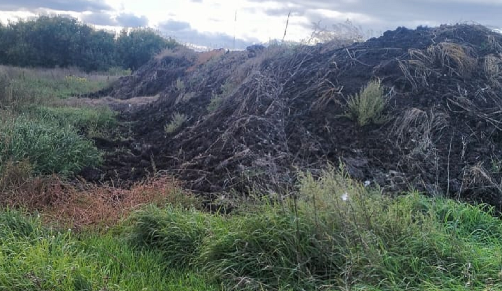 В Калачинском районе ликвидировали несанкционированную свалку биологических отходов