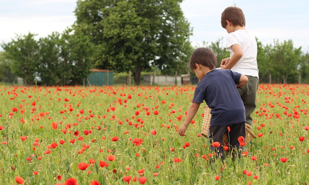  Фонд развития гимназии предлагает «финансово» закрыть летнюю практику омским школьникам 
