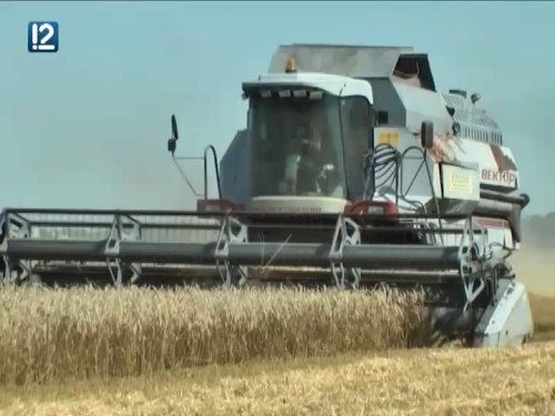 Омские аграрии уже намолотили 2 млн тонн зерна