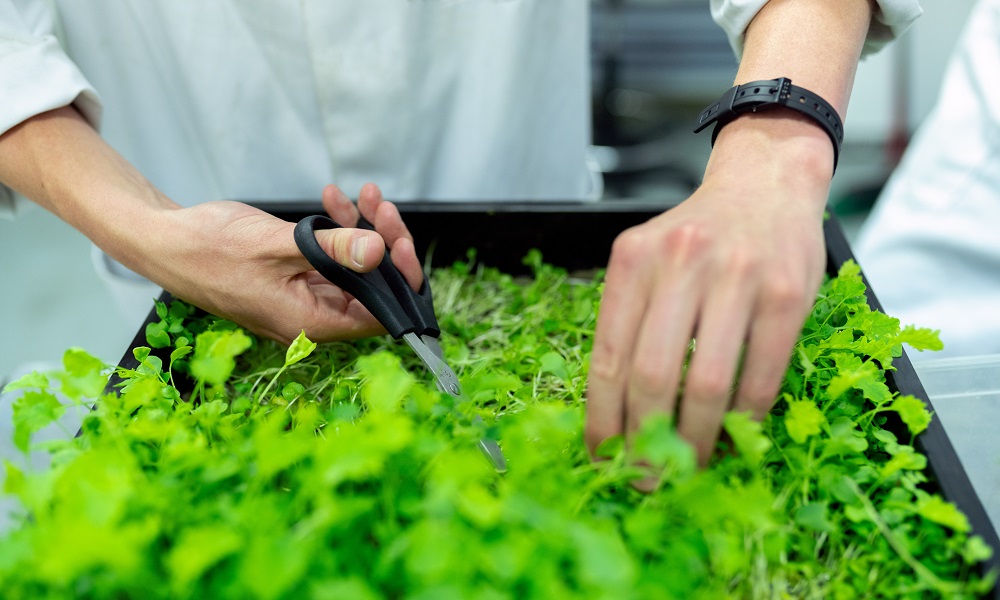 В России подвели итоги Года науки и технологий