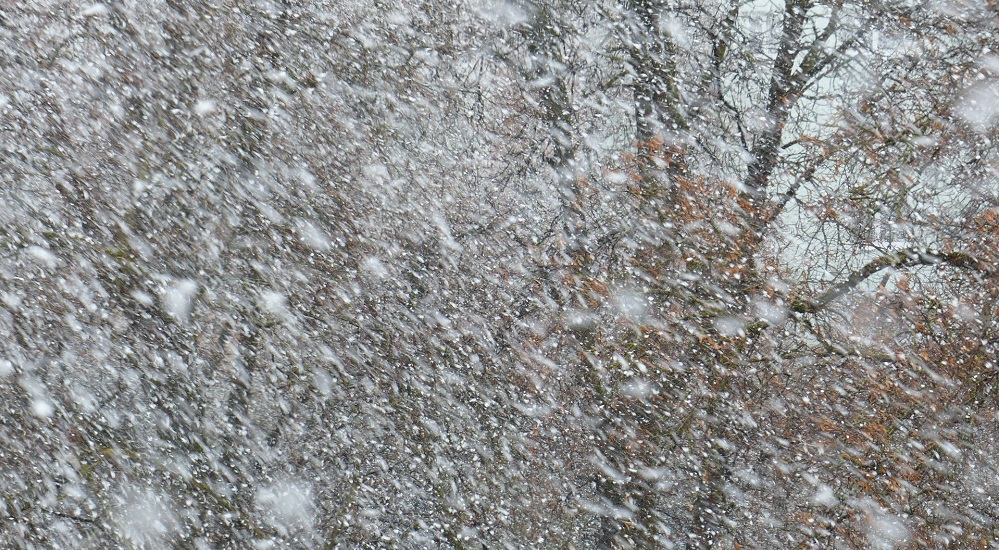 В Омской области ожидаются снег и метели