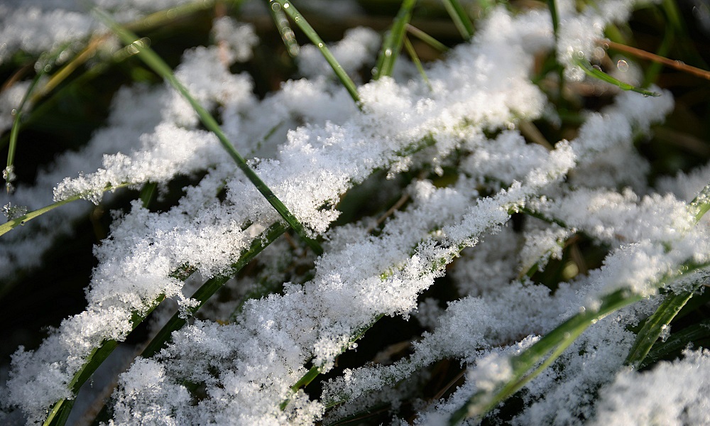 В Омской области ко Дню Победы похолодает до -8 °C и выпадет снег
