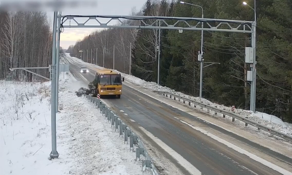 Житель Омской области спиленной сосной повредил дорожные ограждения 