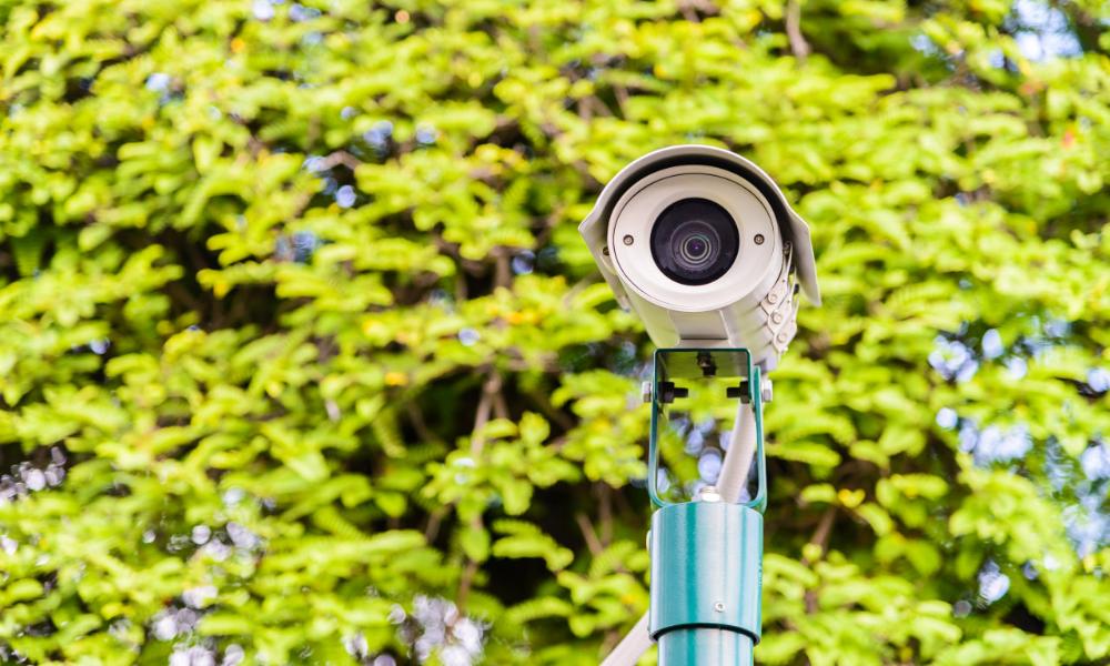 Виталий Хоценко поручил установить видеонаблюдение на Аллее олимпийцев и возле памятника Бухгольцу